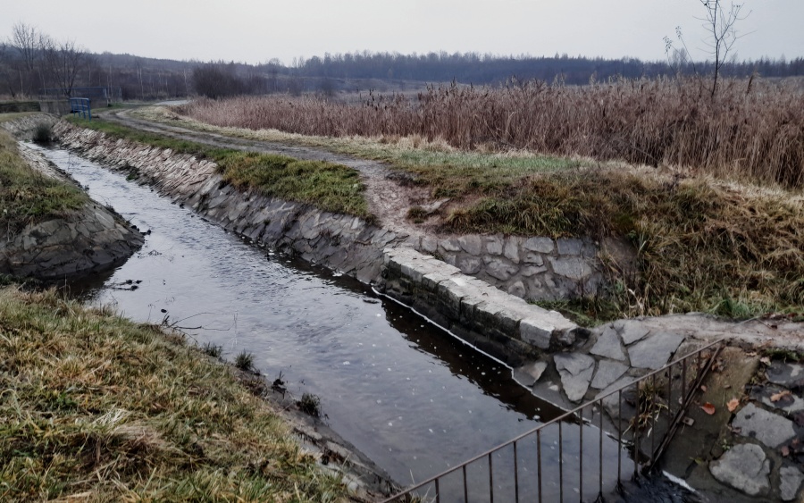 Bílá pěna na Zálužanském potoce. Foto: Petr Sochůrek